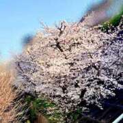 ヒメ日記 2026/04/09 10:04 投稿 かおり 鶯谷デリヘル倶楽部
