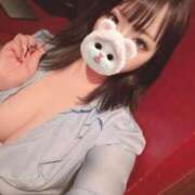 ヒメ日記 2025/04/07 11:29 投稿 こころ 秘書室（すすきの）