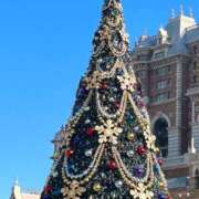 ヒメ日記 2024/12/21 07:55 投稿 高野★ Club夢