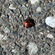 ヒメ日記 2025/03/20 11:15 投稿 高野★ Club夢