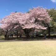 ヒメ日記 2025/04/02 07:54 投稿 高野★ Club夢