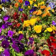 ヒメ日記 2025/04/24 13:41 投稿 高野★ Club夢