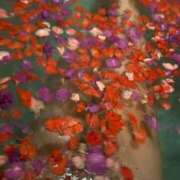 ヒメ日記 2025/05/19 15:08 投稿 青山★ Club夢