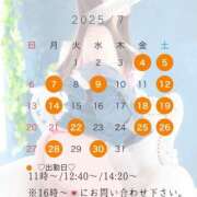 ヒメ日記 2025/06/30 12:12 投稿 青山★ Club夢