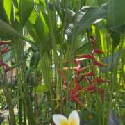 ヒメ日記 2025/07/22 12:03 投稿 青山★ Club夢