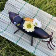 ヒメ日記 2025/08/13 18:47 投稿 青山★ Club夢