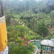 ヒメ日記 2026/03/17 20:26 投稿 青山★ Club夢