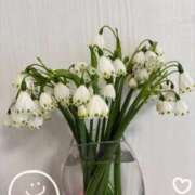 ヒメ日記 2026/04/09 10:23 投稿 青山★ Club夢