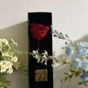 ヒメ日記 2025/03/18 06:00 投稿 せり 谷町人妻ゴールデン倶楽部