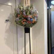 ヒメ日記 2025/05/08 05:30 投稿 せり 谷町人妻ゴールデン倶楽部