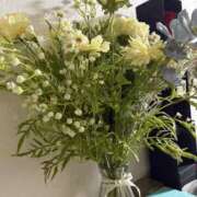 ヒメ日記 2025/05/11 05:55 投稿 せり 谷町人妻ゴールデン倶楽部