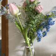 ヒメ日記 2025/06/26 06:00 投稿 せり 谷町人妻ゴールデン倶楽部