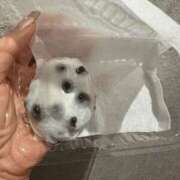 ヒメ日記 2025/12/15 05:40 投稿 せり 谷町人妻ゴールデン倶楽部