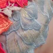 ヒメ日記 2025/11/17 15:21 投稿 野村 艶妻