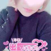 ヒメ日記 2024/12/29 09:18 投稿 ナツメグ キャンディ(鹿児島)