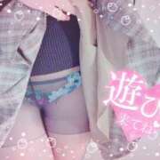 ヒメ日記 2025/02/06 09:18 投稿 ナツメグ キャンディ(鹿児島)