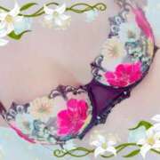 ヒメ日記 2025/03/08 11:18 投稿 ナツメグ キャンディ(鹿児島)