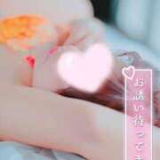 ヒメ日記 2025/04/11 06:48 投稿 ナツメグ キャンディ(鹿児島)