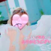 ヒメ日記 2025/04/13 10:03 投稿 ナツメグ キャンディ(鹿児島)