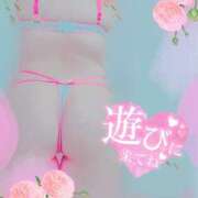 ヒメ日記 2025/05/02 09:42 投稿 ナツメグ キャンディ(鹿児島)