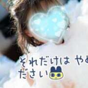 ヒメ日記 2025/07/18 09:51 投稿 ナツメグ キャンディ(鹿児島)