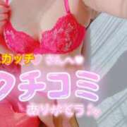 ヒメ日記 2025/09/28 16:55 投稿 ナツメグ キャンディ(鹿児島)