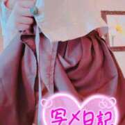 ヒメ日記 2026/04/24 11:15 投稿 ナツメグ キャンディ(鹿児島)