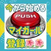 ヒメ日記 2024/02/04 17:15 投稿 みさき ばばあでいいじゃないか！！