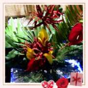 ヒメ日記 2024/12/28 10:33 投稿 みゆき モアグループ入間人妻花壇