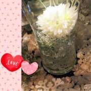 ヒメ日記 2025/02/20 22:11 投稿 みゆき モアグループ入間人妻花壇