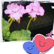 ヒメ日記 2025/03/05 11:40 投稿 みゆき モアグループ入間人妻花壇