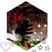 ヒメ日記 2025/05/14 19:14 投稿 みゆき モアグループ入間人妻花壇