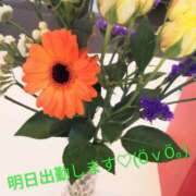 ヒメ日記 2025/10/30 17:55 投稿 みゆき モアグループ入間人妻花壇