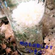 ヒメ日記 2026/04/23 10:31 投稿 みゆき モアグループ入間人妻花壇