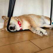 ヒメ日記 2025/08/30 10:25 投稿 ゆい 人妻の品格(福岡)