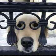 ヒメ日記 2025/09/20 15:04 投稿 ゆい 人妻の品格(福岡)