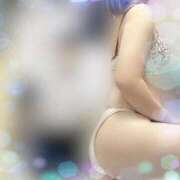 ヒメ日記 2026/01/26 11:56 投稿 ゆい 人妻の品格(福岡)