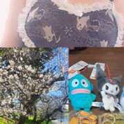 ヒメ日記 2026/03/27 14:34 投稿 いぶ 逢って30秒で即尺