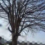 ヒメ日記 2026/04/02 10:23 投稿 いぶ 逢って30秒で即尺