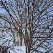 ヒメ日記 2026/04/06 20:56 投稿 いぶ 逢って30秒で即尺