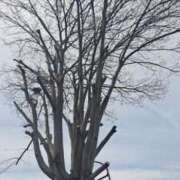 ヒメ日記 2026/04/09 21:33 投稿 いぶ 逢って30秒で即尺