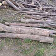 ヒメ日記 2026/04/13 19:50 投稿 いぶ 逢って30秒で即尺