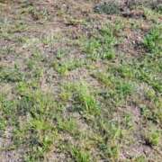 ヒメ日記 2026/04/21 19:04 投稿 いぶ 逢って30秒で即尺