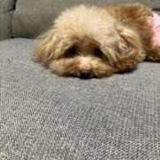 ヒメ日記 2024/12/19 09:32 投稿 ツカサ ルパン