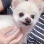 ヒメ日記 2025/04/20 04:52 投稿 ツカサ ルパン