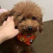 ヒメ日記 2025/09/13 02:23 投稿 ツカサ ルパン