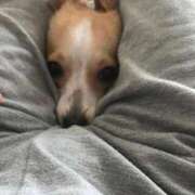 ヒメ日記 2025/10/11 11:30 投稿 ツカサ ルパン