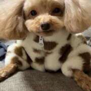 ヒメ日記 2025/12/19 18:05 投稿 ツカサ ルパン