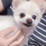 ヒメ日記 2026/01/22 00:44 投稿 ツカサ ルパン