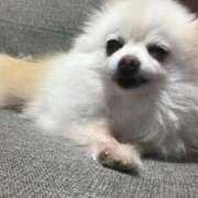 ヒメ日記 2026/02/11 00:48 投稿 ツカサ ルパン